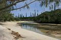 Oro-ile des pins (7)